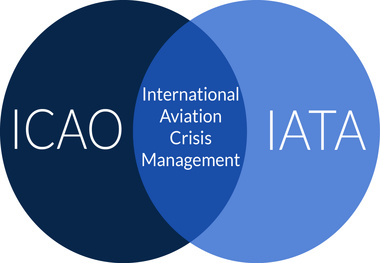 ICAO & IATA seek more common sense in cabin laptop bans