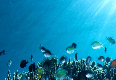 Santa Barbara program protecting air and marine life expanded