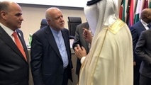 ناتوانی عربستان در پرکردن جای خالی نفت ایران/ تولید اوپک به زیر ۳۰ میلیون بشکه در روز رسید