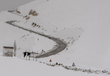 گزارش تصویری | «کوهرنگ» مدفون در برف