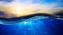 Ocean absorbs 90% of GHG emissions heat, study finds