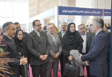 اتاق تهران؛ حلقه اتصال تشکل‌ ها و سیاست‌گذاران در صنعت لاستیک